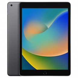 ipad 9 wifi + lte 64gb grey grado estetico pari al nuovocompleto di scatola e accessorigaranzia 12 mesi