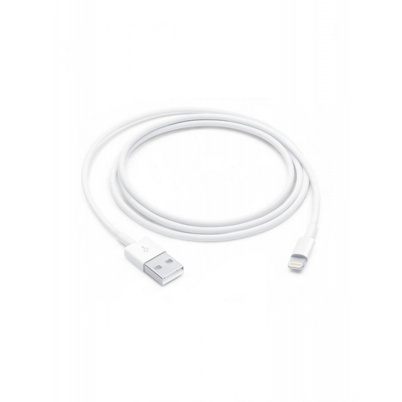 apple cavo dati lighting usb-a 100 cm
