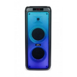 party speaker bluetooth potenza massima 600 Watt con doppio woofer led multicolor 2 microfoni telecomando  incluso
