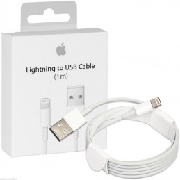 apple cavo dati lighting a usb